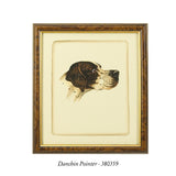 Danchin Setter
