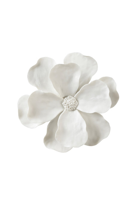 Camellia Wall Flower