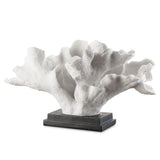 Blade Coral - Kings Fine Art & Decor