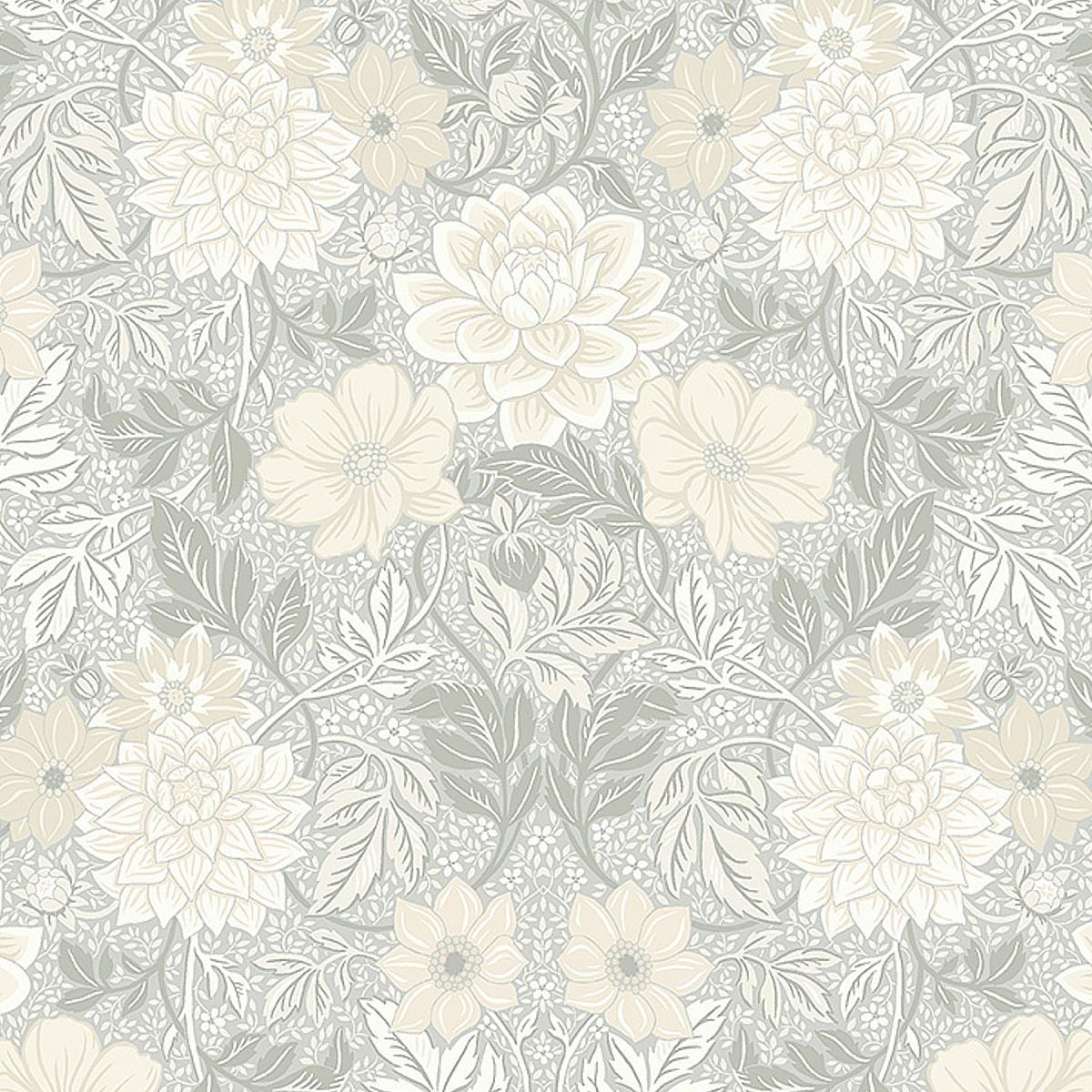 dahlia-garden-7664