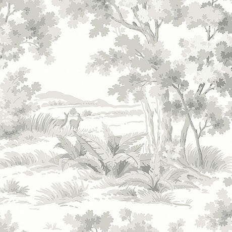 countryside-morning-7677