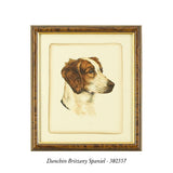 Danchin Setter