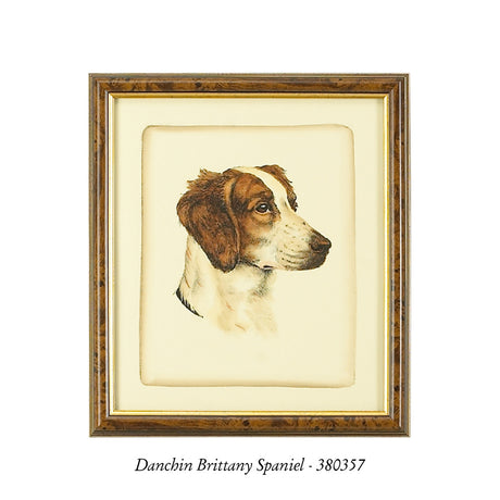 Danchin Setter