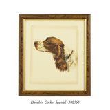 Danchin Setter