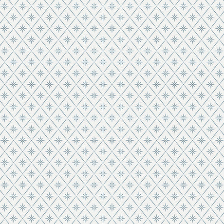 windrose-8863
