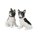 Gypsy Dog - Pair Black/White