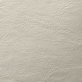 Dariela Counter Stool