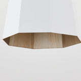 huntley-pendant-F8322-PBR/SWH-5