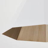 huntley-pendant-F8322-PBR/SWH-8