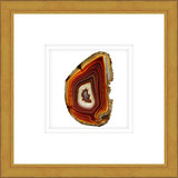 ASAM01 - FRAMED AMBER AGATE SLICE Shadow box hand framed in a traditional gold frame. Finished Size: W 16.00 in x H 16.00 in