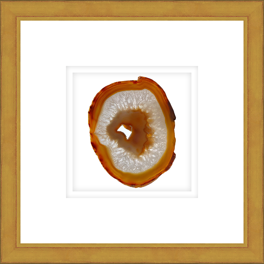 ASAM02 - FRAMED AMBER AGATE SLICE Shadow box hand framed in a traditional gold frame. Finished Size: W 16.00 in x H 16.00 in