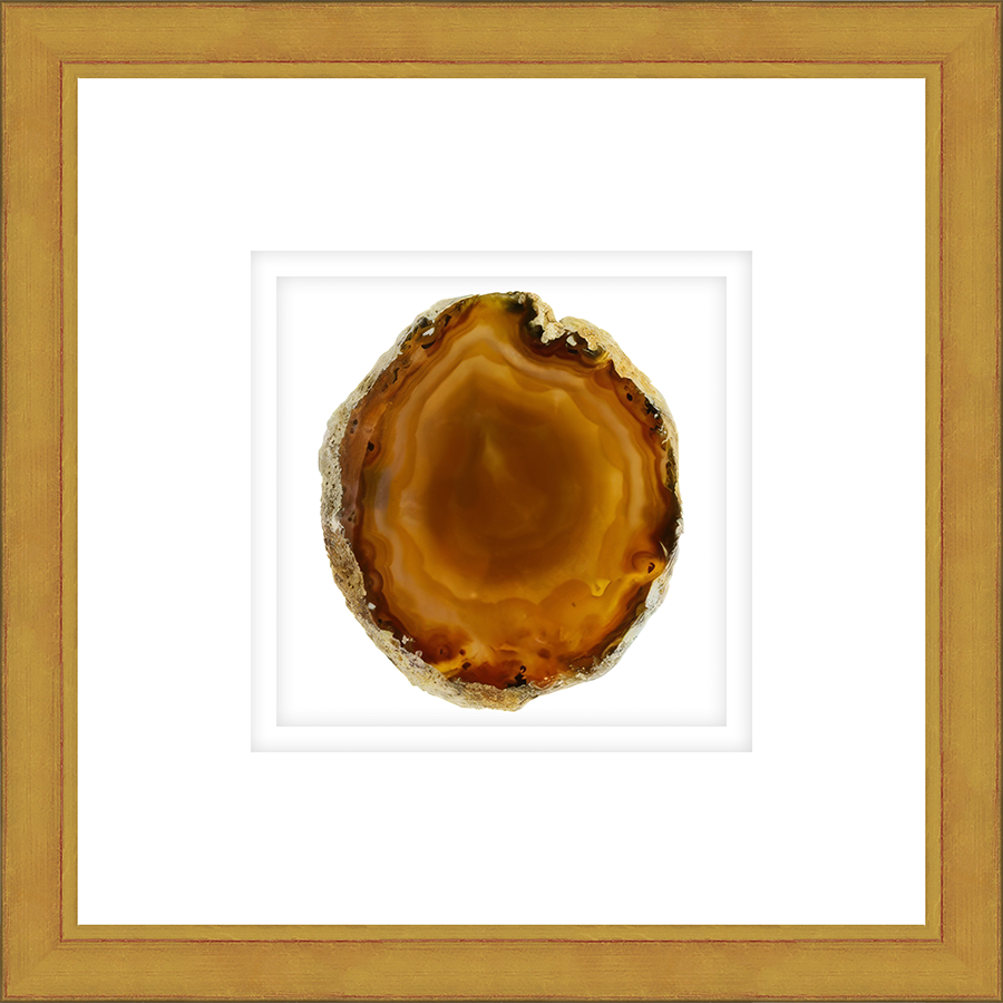 ASAM03 - FRAMED AMBER AGATE SLICE Shadow box hand framed in a traditional gold frame. Finished Size: W 16.00 in x H 16.00 in