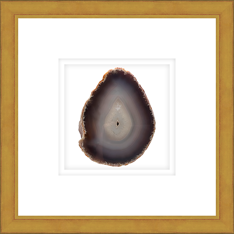 ASGD02 - FRAMED AMBER AGATE SLICE Shadow box hand framed in a traditional gold frame. Finished Size: W 16.00 in x H 16.00 in
