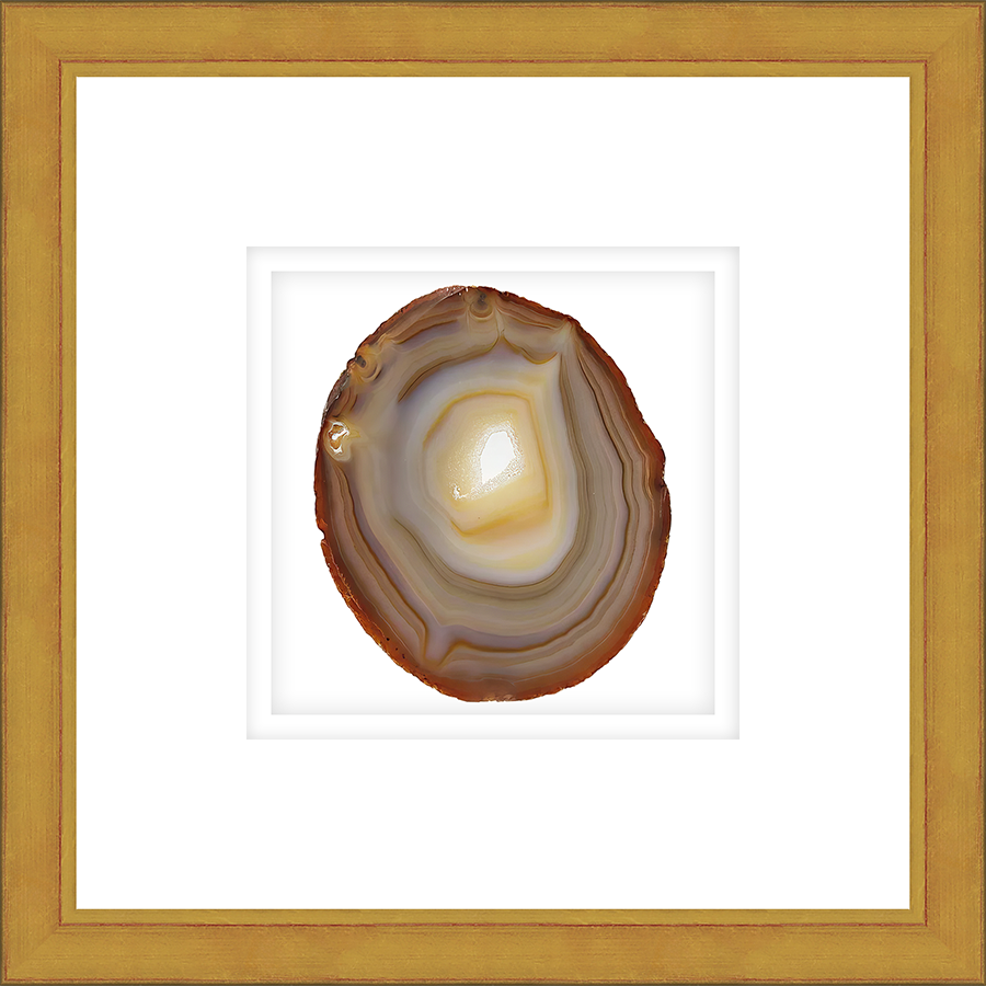 ASGG02 - FRAMED AMBER AGATE SLICE Shadow box hand framed in a traditional gold frame. Finished Size: W 16.00 in x H 16.00 in