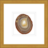 ASGG02 - FRAMED AMBER AGATE SLICE Shadow box hand framed in a traditional gold frame. Finished Size: W 16.00 in x H 16.00 in
