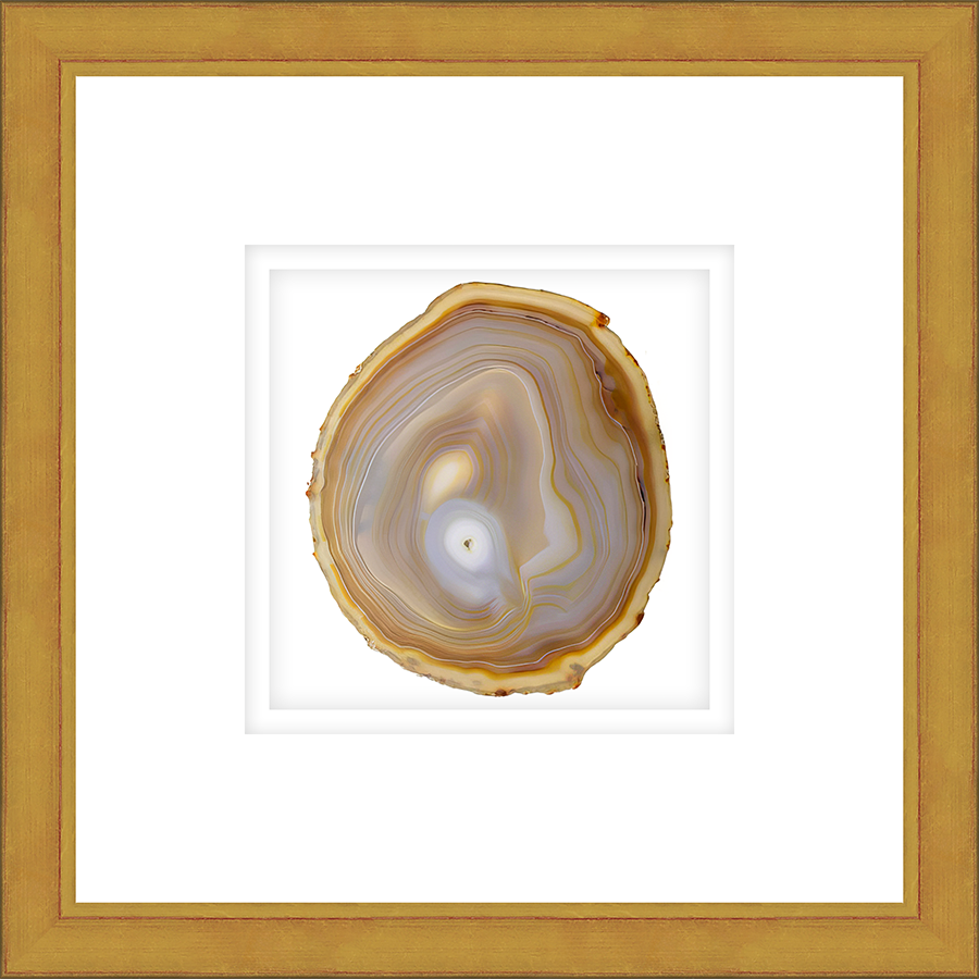 ASGG03 - FRAMED AMBER AGATE SLICE Shadow box hand framed in a traditional gold frame. Finished Size: W 16.00 in x H 16.00 in