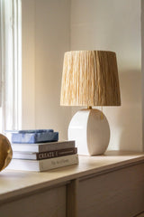 aneesa-table-lamp-HL623201-AGB/CIC-3