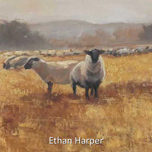 Ethan Harper