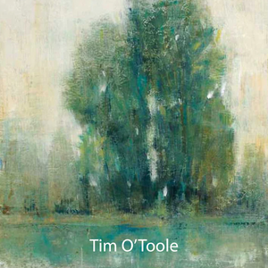 Tim O'Toole
