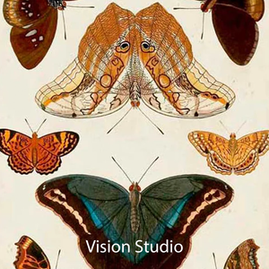 Vision Studio