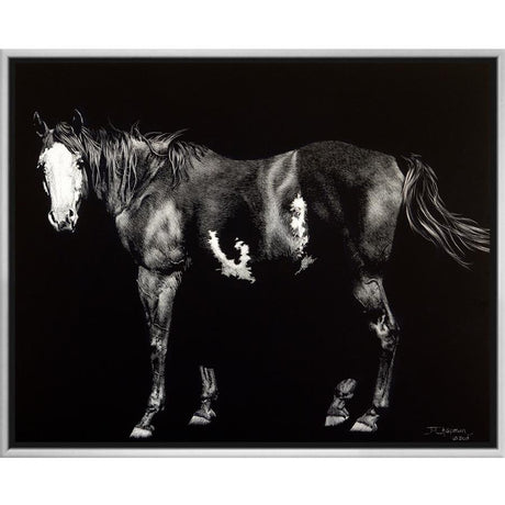 MIDNIGHT STALLION - Kings Fine Art & Decor