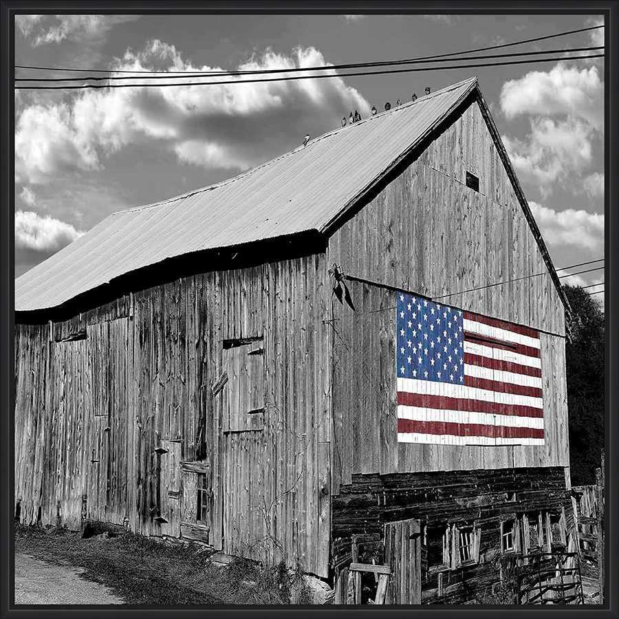 FADED PATRIOTISM - Kings Fine Art & Decor