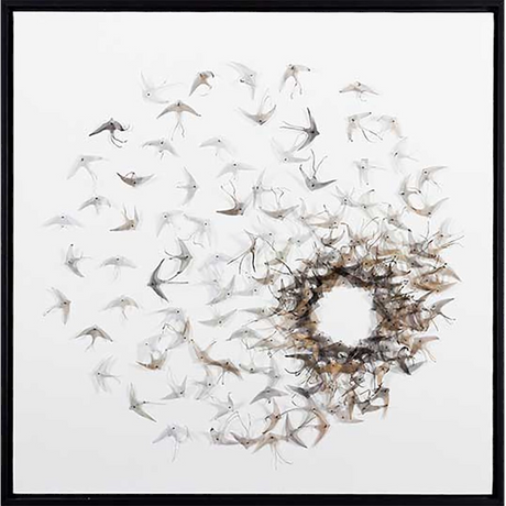 FG6039C01 - Kings Fine Art & Decor