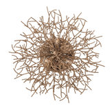 sierra-flush-mount-C6090-VZ