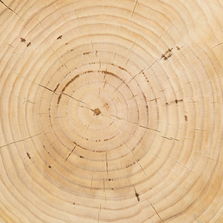 Aliza End Table - Kings Fine Art & Decor