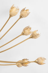 falkirk-semi-flush-5422-VGL-2