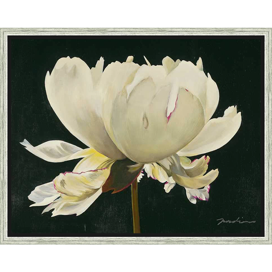A stunning, close-up painting of a peony in full bloom, showcasing delicate petals and a dark, contrasting background. This artwork captures the beauty and intricacy of nature with soft color palettes and delicate brushstrokes, perfect for adding elegance to any space.