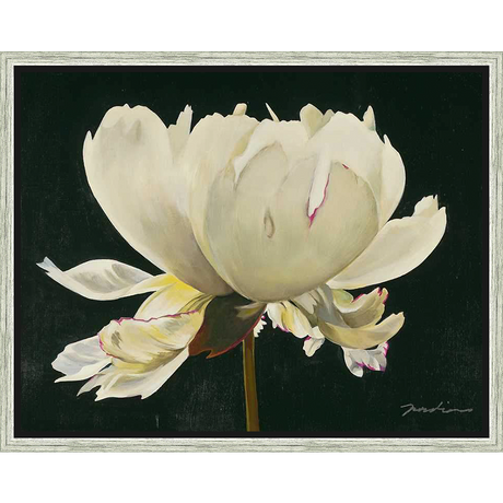 A stunning, close-up painting of a peony in full bloom, showcasing delicate petals and a dark, contrasting background. This artwork captures the beauty and intricacy of nature with soft color palettes and delicate brushstrokes, perfect for adding elegance to any space.