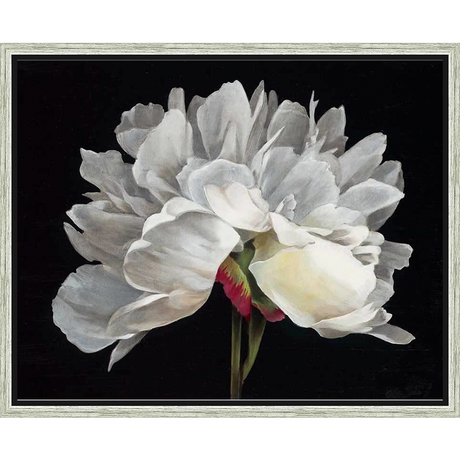 A stunning close-up of a blooming white peony, painted with meticulous detail, is set against a dramatic black background. This floral art piece will add a touch of elegance and serenity to any space.