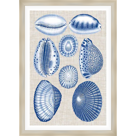 This framed artwork showcases a collection of beautifully illustrated seashells in a classic blue and white color palette. The detailed renderings of various shell shapes and textures add a touch of coastal charm to any space, making it a perfect addition to your home decor.