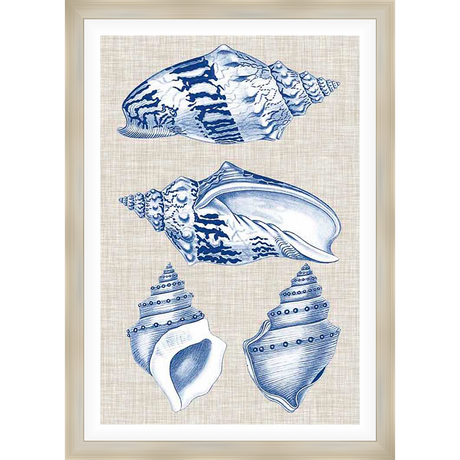 A stunning artwork featuring detailed illustrations of various seashells in shades of blue and white, perfect for adding a touch of coastal elegance to any space.