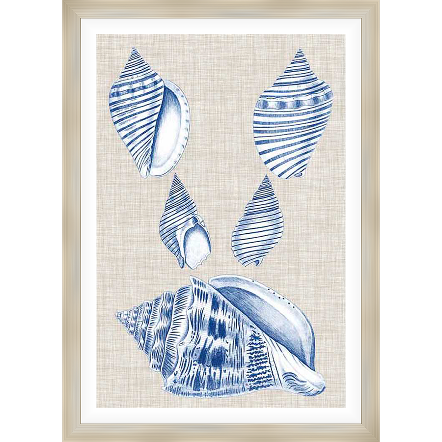 A beautiful artistic depiction of seashells against a neutral backdrop, showcasing intricate details and a coastal aesthetic. This piece is perfect for adding a touch of seaside charm to any space.