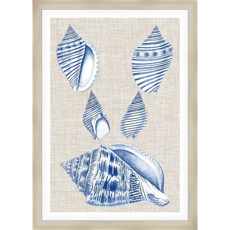 A beautiful artistic depiction of seashells against a neutral backdrop, showcasing intricate details and a coastal aesthetic. This piece is perfect for adding a touch of seaside charm to any space.