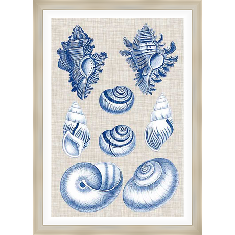 A beautiful coastal artwork featuring an assortment of detailed seashells in a classic blue and white design. This elegant piece evokes a sense of seaside serenity, perfect for adding a touch of nautical charm to your space.