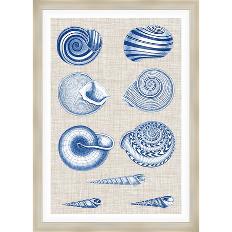Showcasing an array of intricately detailed seashell illustrations in various shapes and sizes, this artwork adds a touch of coastal elegance to any space.