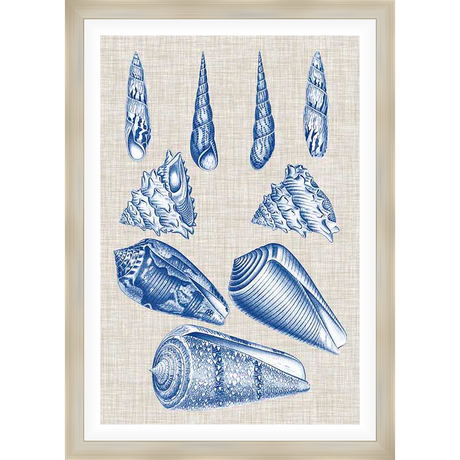 A stunning collection of detailed seashell illustrations in a classic blue and white palette, reminiscent of nautical designs. This artwork adds a touch of coastal elegance to any space, perfect for creating a serene and inviting atmosphere.