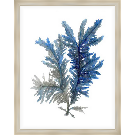 This stunning watercolor artwork captures the delicate beauty of marine flora, showcasing intricate textures and a serene palette. The vibrant blue and grey hues of the seaweed create a calming aesthetic, bringing a touch of coastal charm to any space.