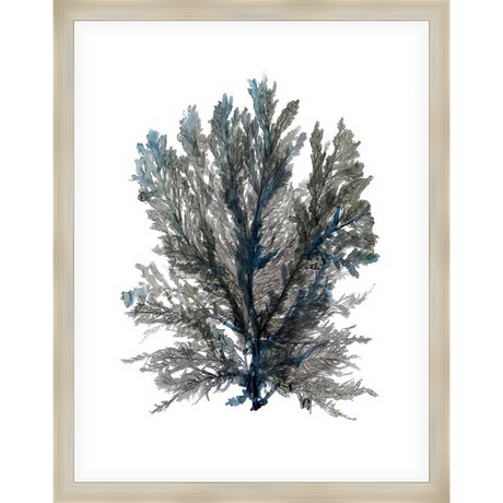 A serene, minimalist artwork featuring a delicate botanical illustration of a fern-like plant, rendered in soft watercolor washes, creating a sense of tranquility and natural beauty. This artwork is perfect for adding a touch of elegance and sophistication to any space.