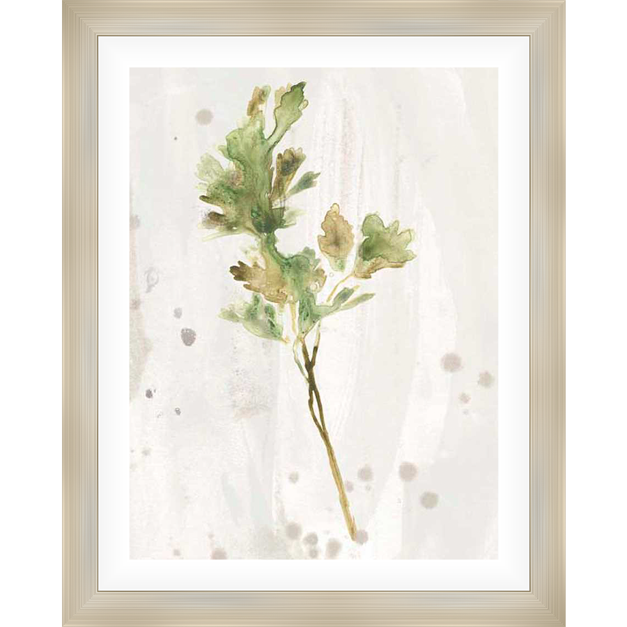 This artwork features an elegant watercolor rendering of a botanical sprig, showcasing delicate foliage and subtle color variations against a textured background. Its calming aesthetic and naturalistic subject make it a versatile addition to any home decor.