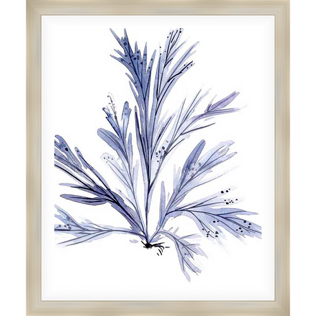 This stunning artwork features a delicate botanical watercolor illustration of a blue seaweed plant. The piece is a perfect addition to any coastal or nature-inspired decor, bringing a serene and calming atmosphere to your space.
