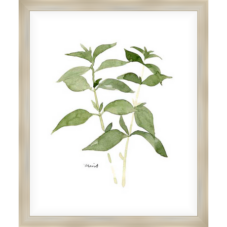 A delicate watercolor depiction of a sprig of mint, rendered with soft strokes and gentle hues. This art print brings the tranquility of nature to your home, perfect for any room needing a touch of botanical charm.