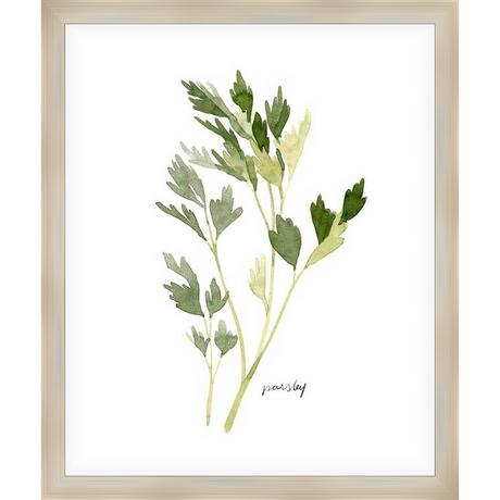 This elegant art print features a delicate watercolor depiction of parsley, adding a touch of nature-inspired charm to any space. The minimalistic style and soft hues create a serene and refreshing aesthetic.