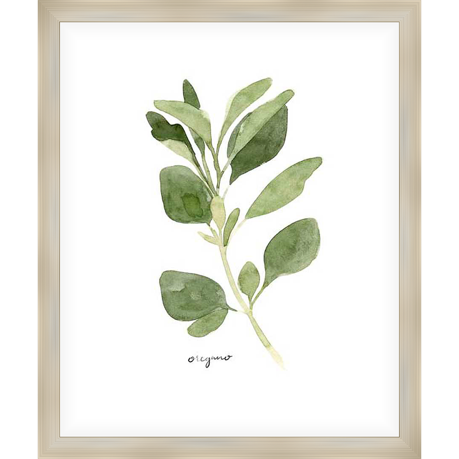 A delicate watercolor print of oregano, this artwork features fresh green leaves and stems, perfect for adding a touch of natural beauty to any space. The hand-painted style and soft colors of this botanical art evoke a sense of calm and tranquility.