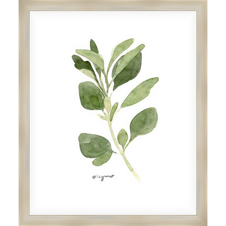 A delicate watercolor print of oregano, this artwork features fresh green leaves and stems, perfect for adding a touch of natural beauty to any space. The hand-painted style and soft colors of this botanical art evoke a sense of calm and tranquility.