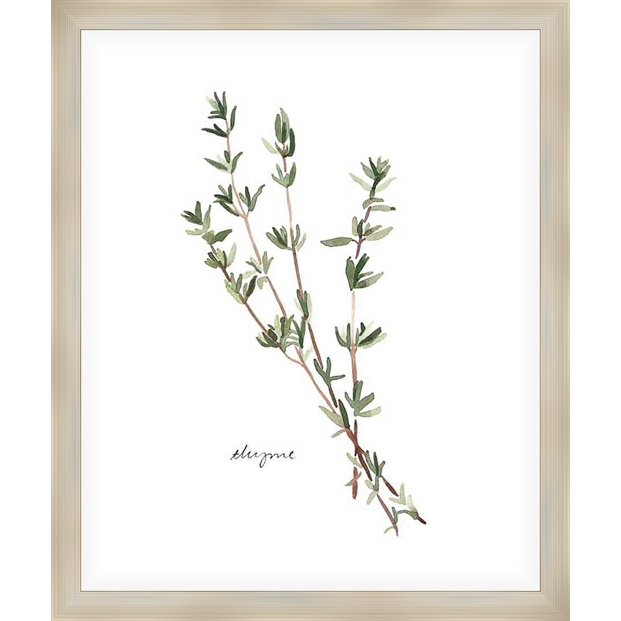 A delicate watercolor painting captures the essence of thyme, rendered in soft hues and botanical detail. This elegant art piece brings a touch of natural beauty to any space.