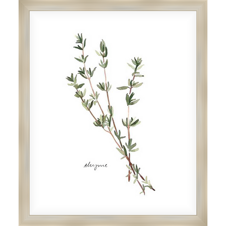 A delicate watercolor painting captures the essence of thyme, rendered in soft hues and botanical detail. This elegant art piece brings a touch of natural beauty to any space.
